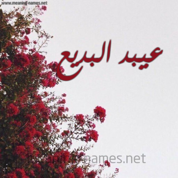 شكل 18 صوره الورد الأحمر للإسم بخط رقعة صورة اسم عيبد البديع Abd-Albadeea